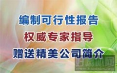 濮阳市可行性研究报告可研报告怎么写甲乙丙级资质