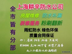 专业屋面防水 天沟外墙防水 防暑补漏 绿色质保